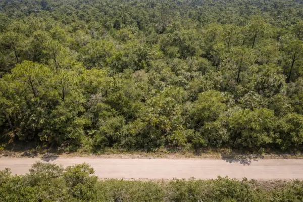 823 Durmon Avenue, LAKE PLACID, FL 33852