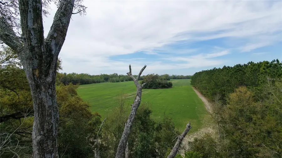 Sw Cr 344, Trenton, FL 32693 - #2