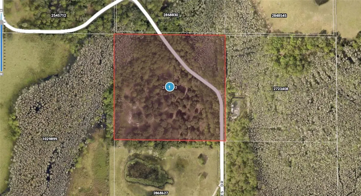 Los Robles Drive, Groveland, FL 34736 - #1