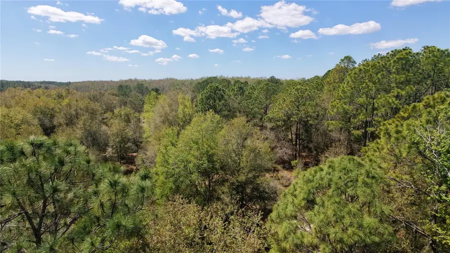 Los Robles Drive, Groveland, FL 34736 - #3