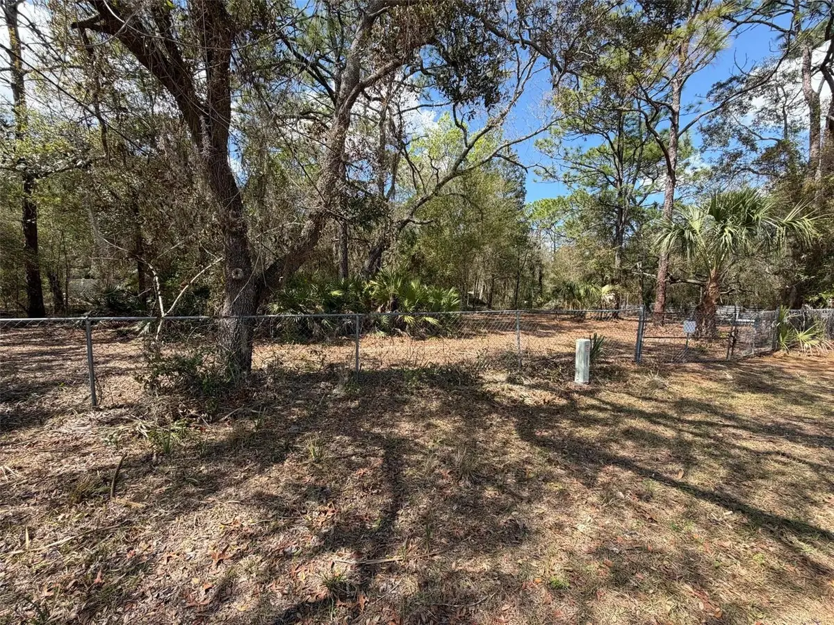 980 N Conant Avenue, Crystal River, FL 34429 - #1