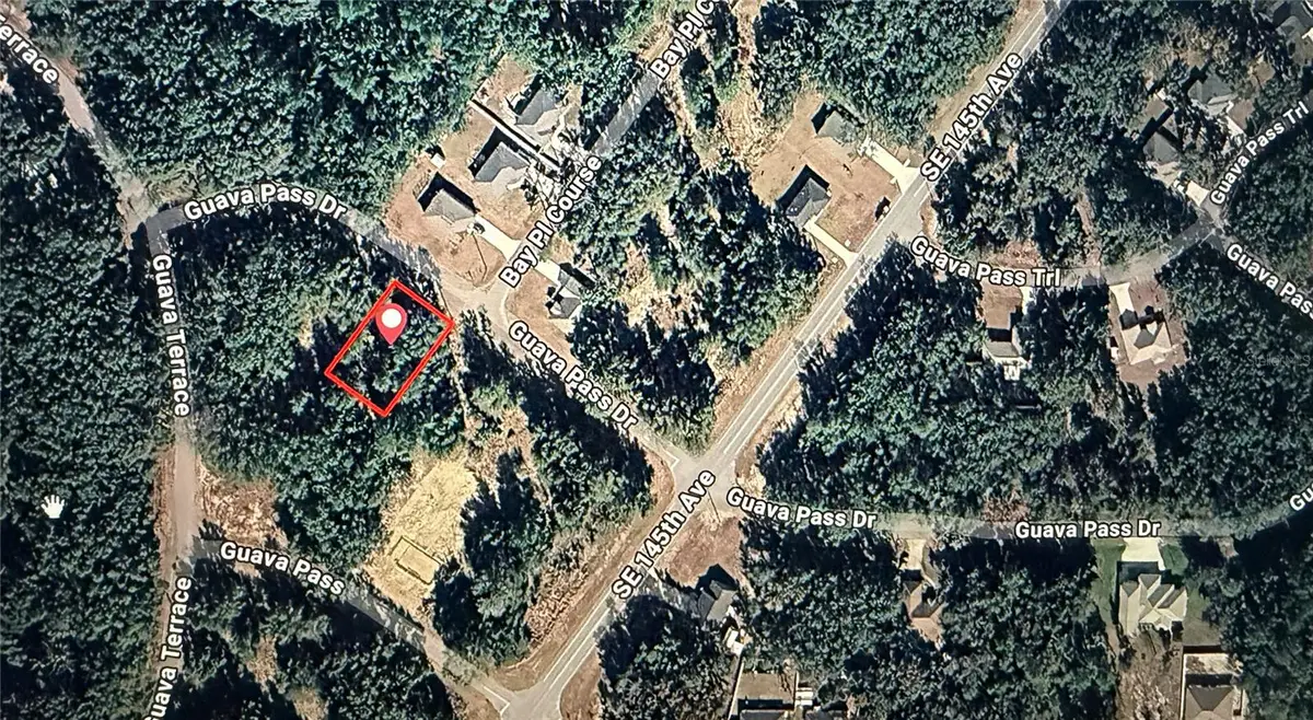 Guava Pass, Ocklawaha, FL 32179 - #1