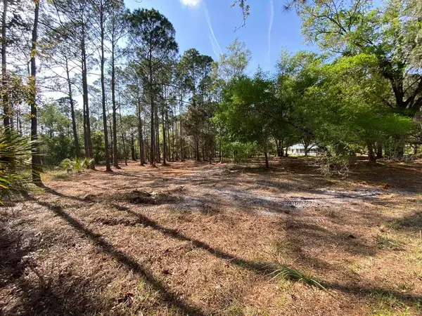 7756 N Shillelagh Avenue, CRYSTAL RIVER, FL 34428