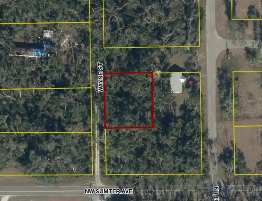 Nw Wayne St, Mayo, FL 32066 - #3