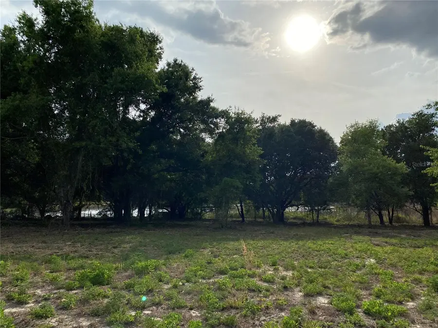 South O 'brien Road, Groveland, FL 34736 - #2