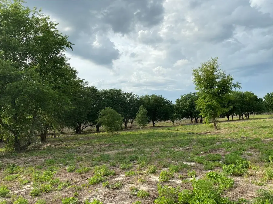 South O 'brien Road, Groveland, FL 34736 - #3