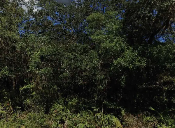 NE 47th Terrace, CITRA, FL 32113