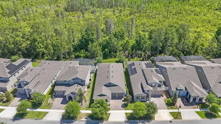 10705 Petrillo Way, Winter Garden, FL 34787 - #2