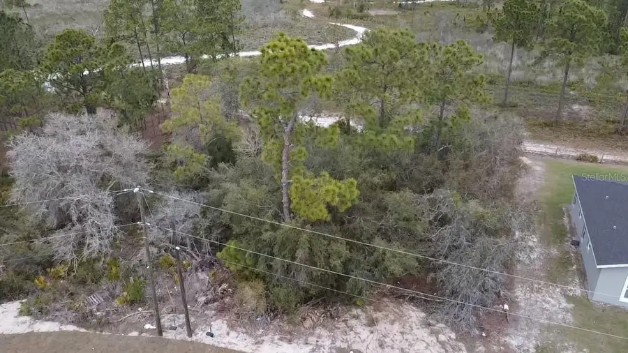 1226 Apopka Lane, Poinciana, FL 34759 - #2