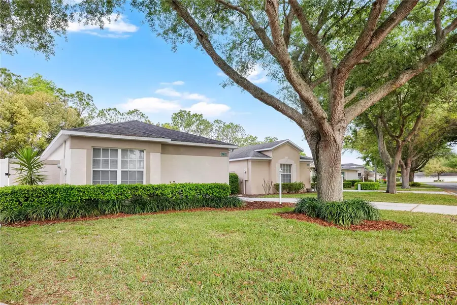 4226 Snowdon Street, Clermont, FL 34711 - #3