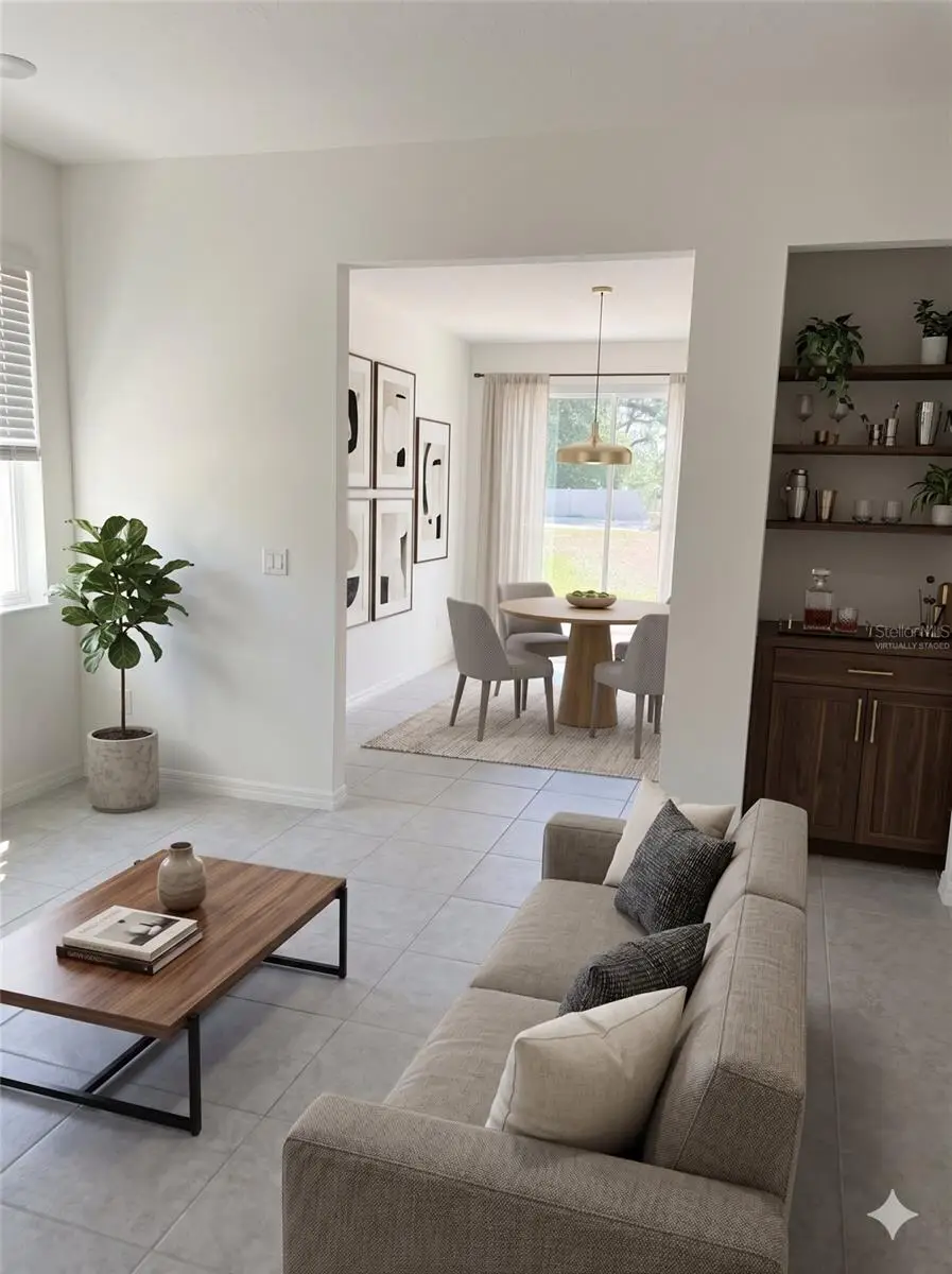 34224 Rogallo Lane, Wesley Chapel, FL 33545 - #2