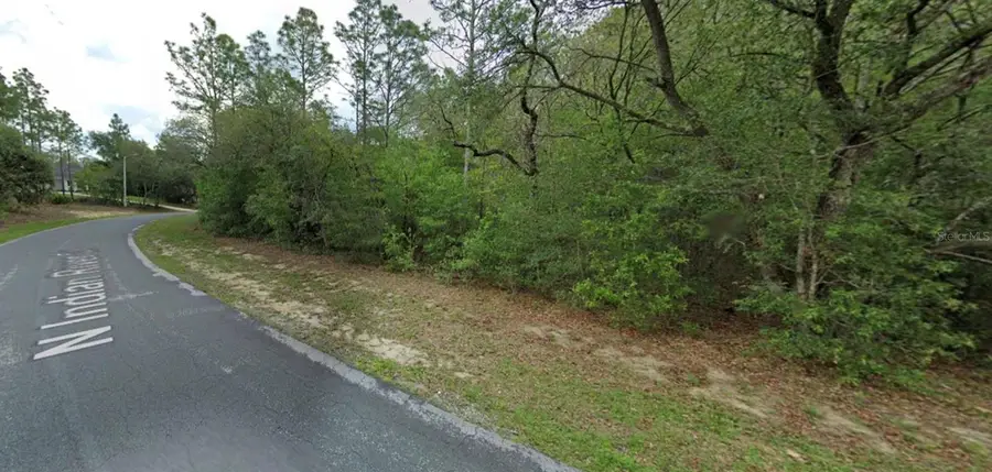 4270 N Indianriver Drive, Hernando, FL 34442 - #2