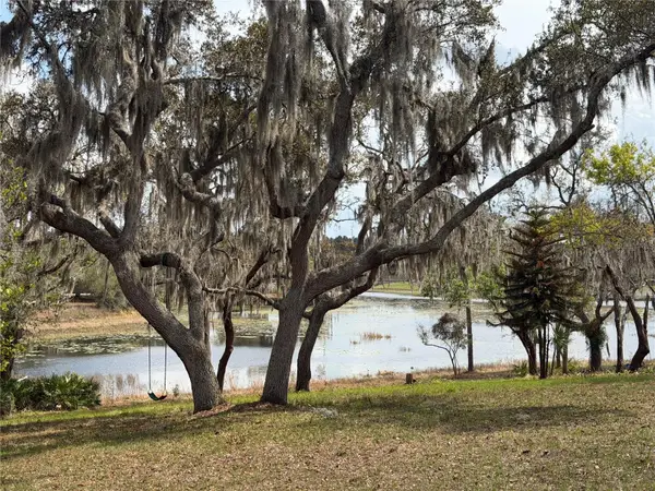 17549 Seidner Road, WINTER GARDEN, FL 34787