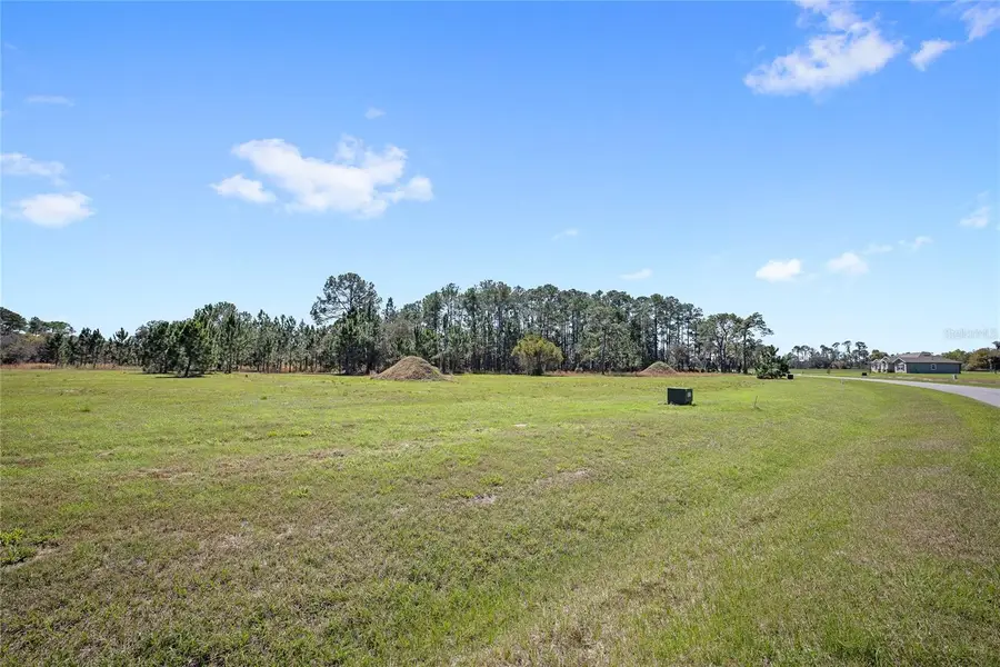 38514 Wooded Meadow Drive, Umatilla, FL 32784 - #2
