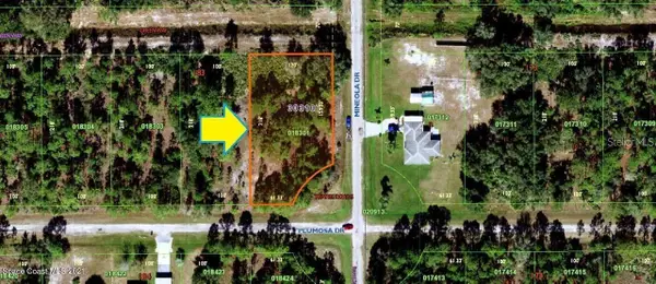 3250 Plumosa Drive, INDIAN LAKE ESTATES, FL 33855