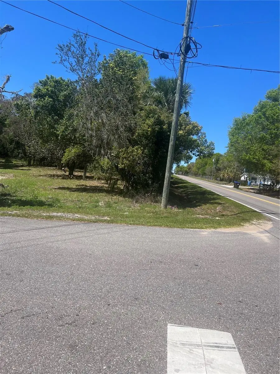 2518 Haas Road, Apopka, FL 32712 - #1