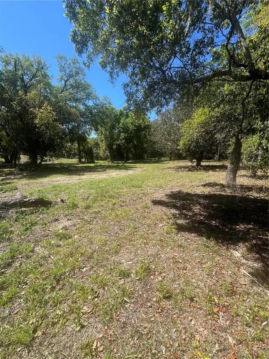 2518 Haas Road, Apopka, FL 32712 - #2