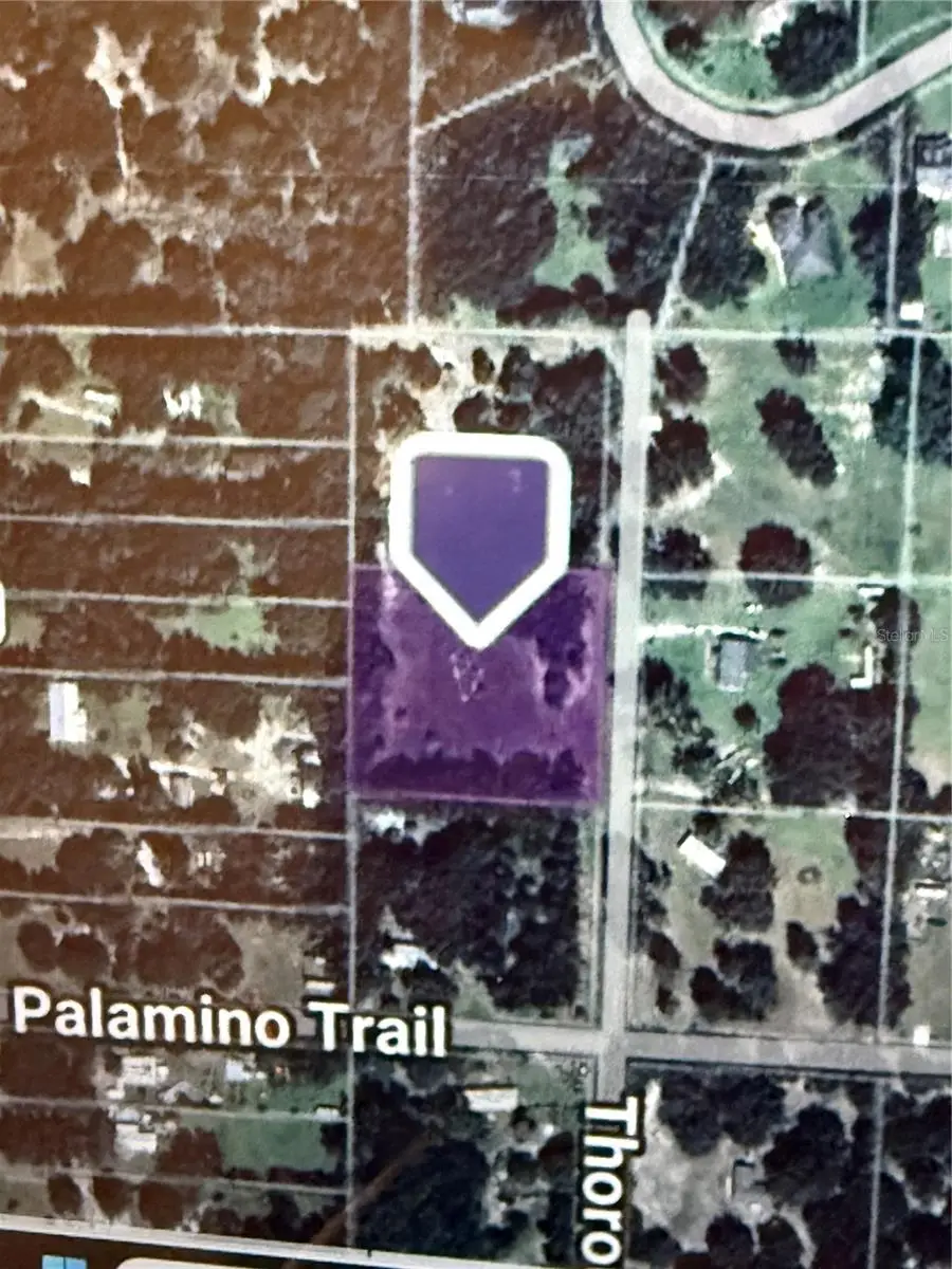 Thoroughbred Trail, Sorrento, FL 32776 - #1