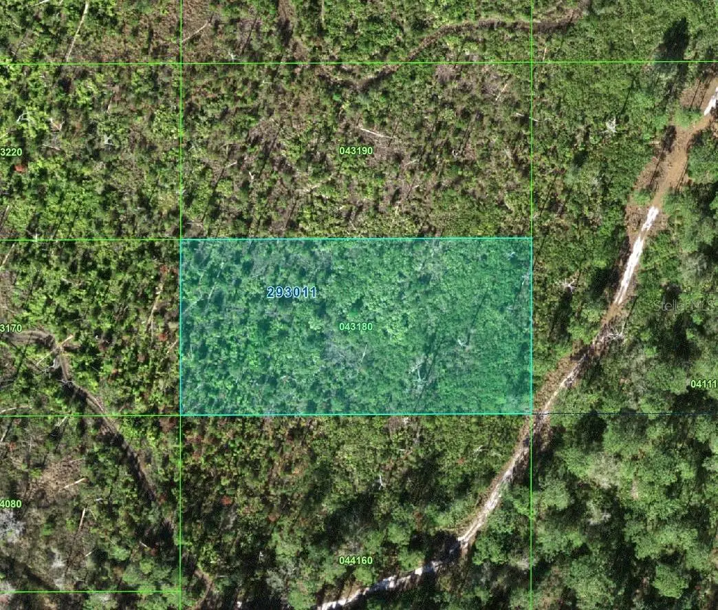 Tiger Rd, Lake Wales, FL 33898 - #1