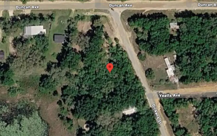 201 Dickens Street, Interlachen, FL 32148 - #3