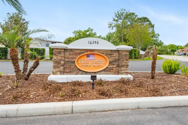 2451 Citrus Tree Road, CLERMONT, FL 34714