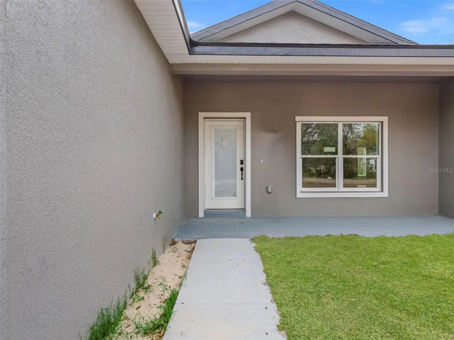 110 Guava Place Drive, Ocklawaha, FL 32179 - #3