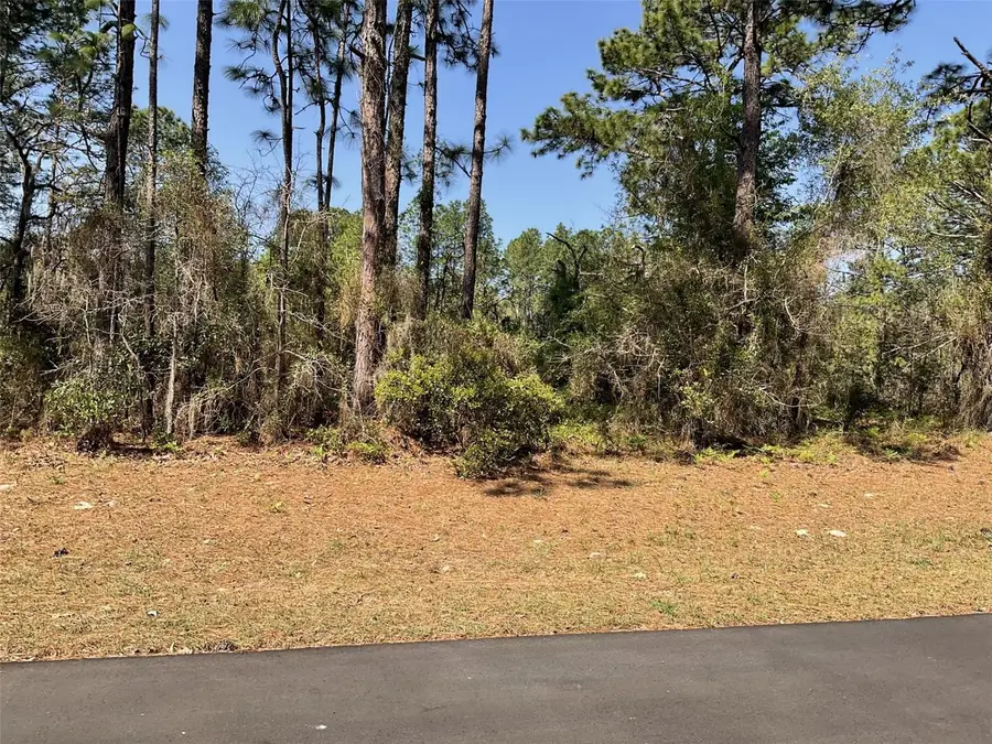 Undetermined, Dunnellon, FL 34432 - #2