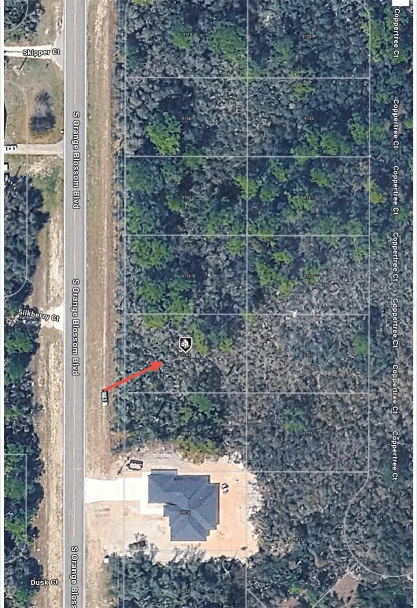 9784 S Orange Blossom Boulevard, Sebring, FL 33875 - #2