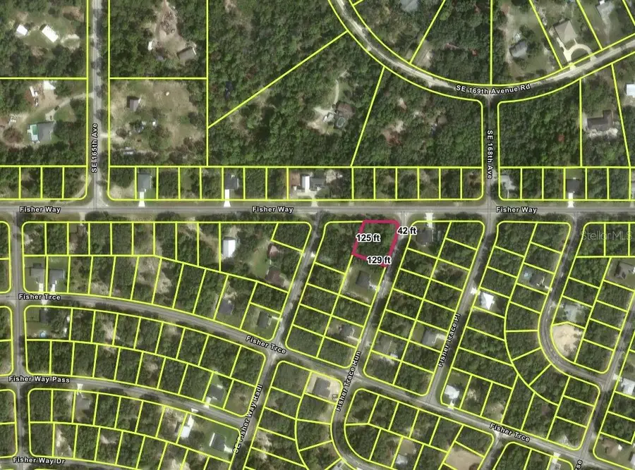 TBD Fisher Way, Ocklawaha, FL 32179 - #2