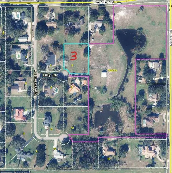 13125 Filly Court, Windermere, FL 34786 - #2