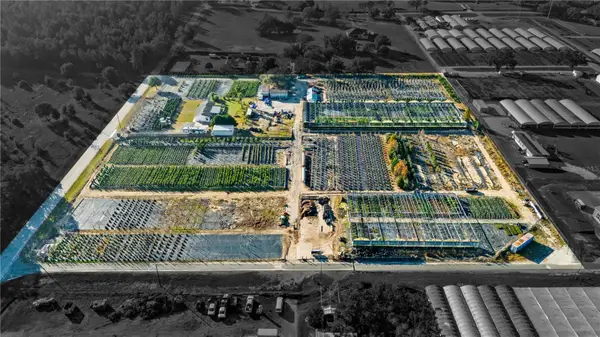 4004 Rex Drive, WINTER GARDEN, FL 34787