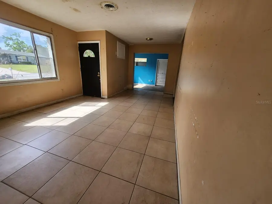 910 Emerald Drive, Mount Dora, FL 32757 - #3