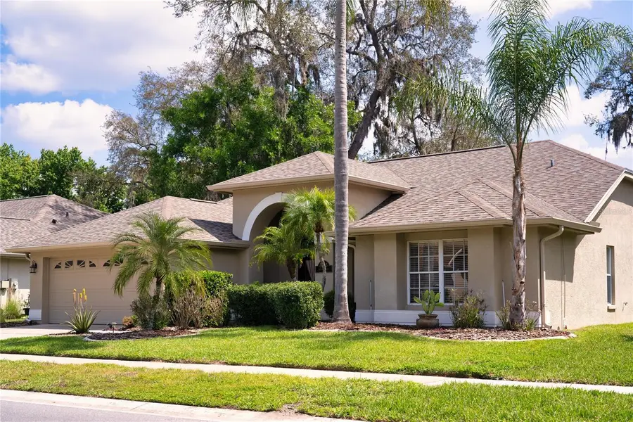 8435 Basuto Drive, Trinity, FL 34655 - #3