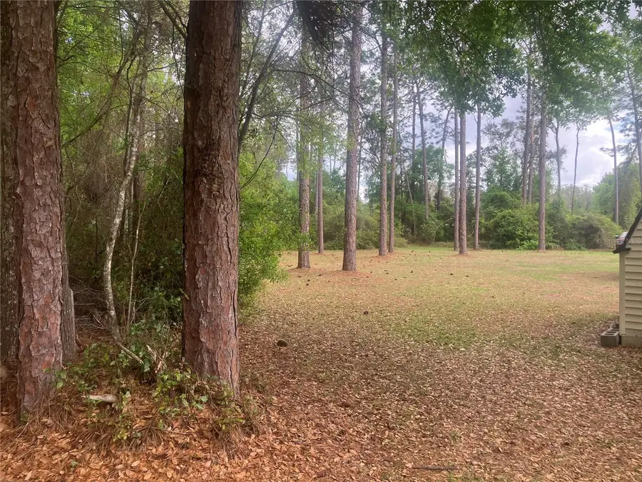 Se 19th Pl, Silver Springs, FL 34488 - #2