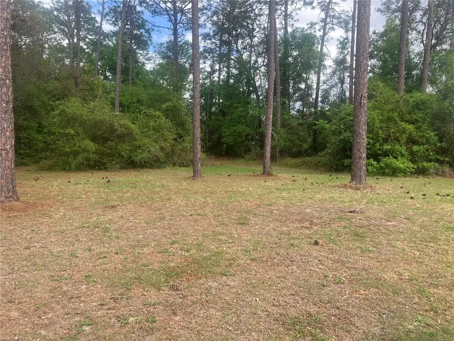 Se 19th Pl, Silver Springs, FL 34488 - #3