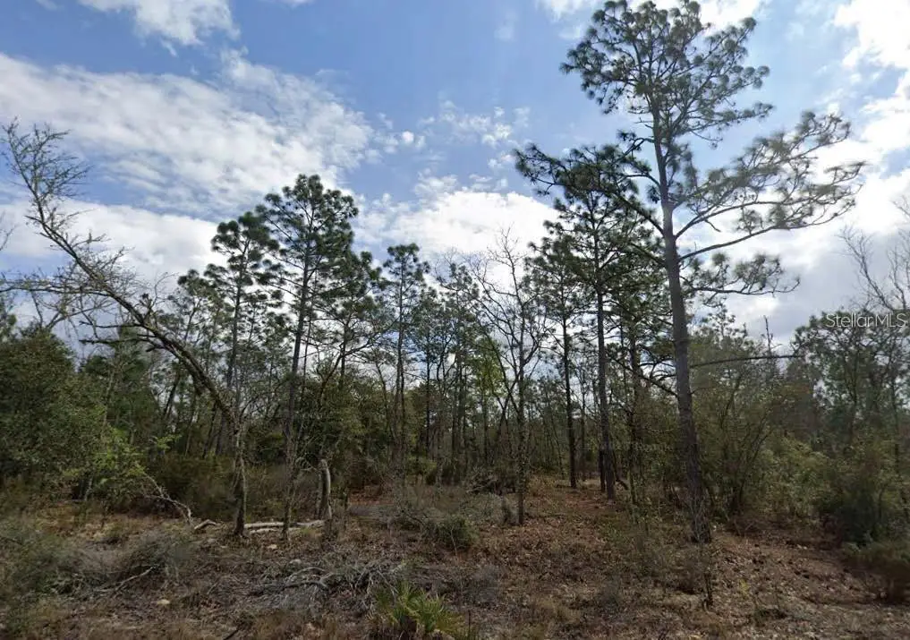 Park Street, Interlachen, FL 32148 - #1