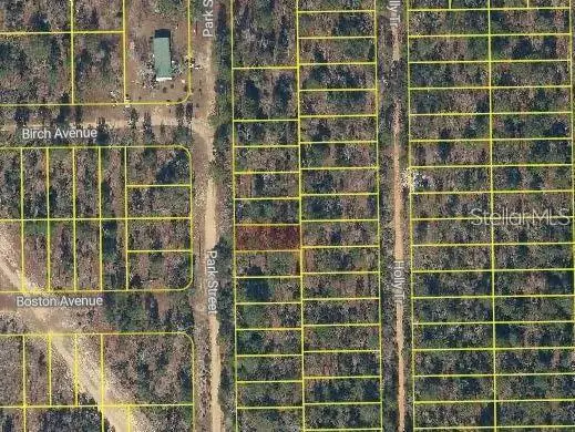 Park Street, Interlachen, FL 32148 - #2