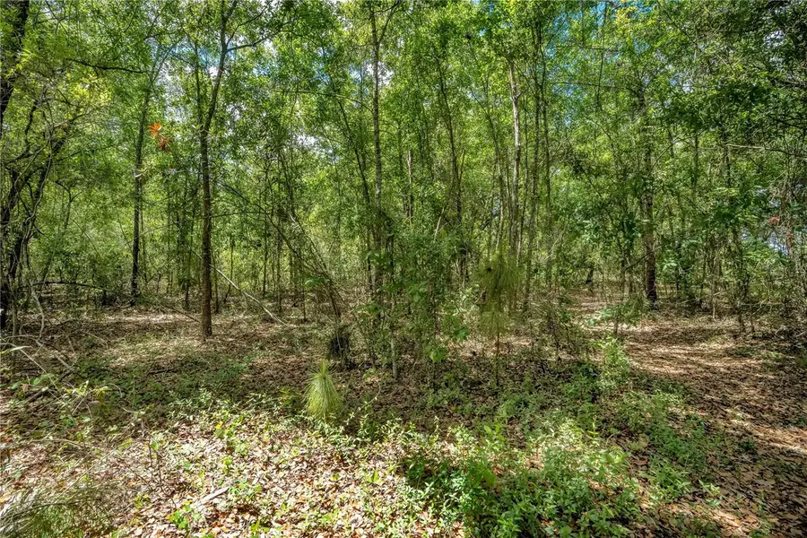 1903 Spruce Creek Circle N, Port Orange, FL 32128 - #2