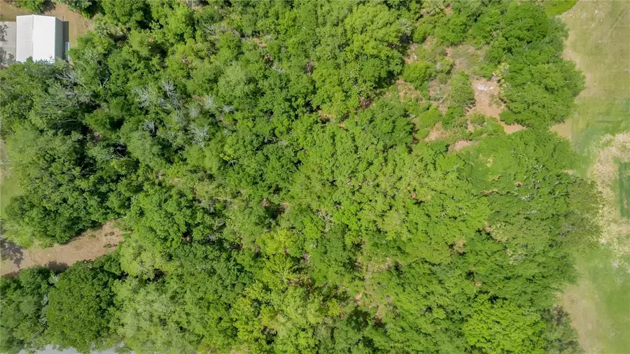 1903 Spruce Creek Circle N, Port Orange, FL 32128 - #3