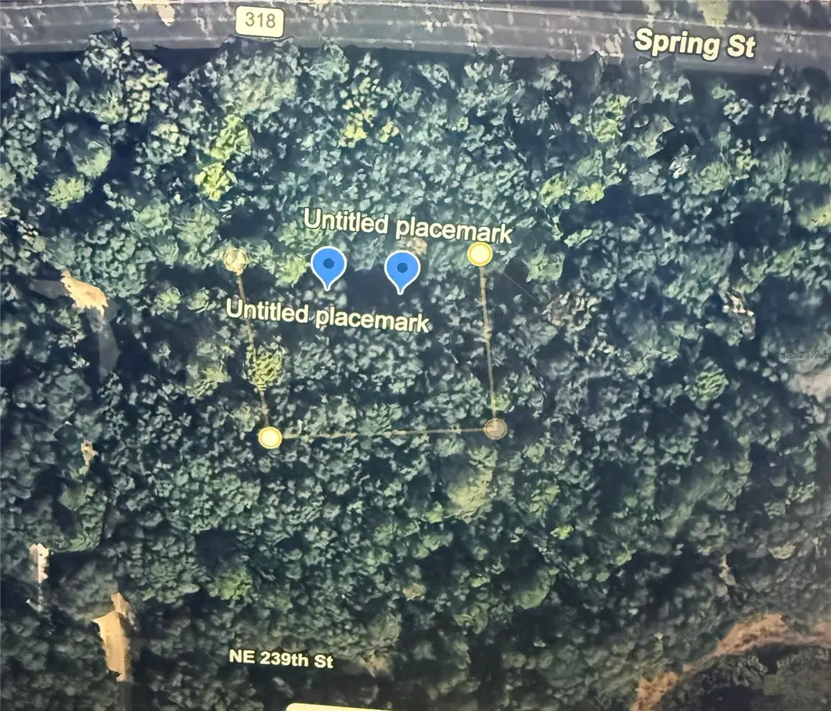 NE 239th Place, Orange Springs, FL 32182 - #1