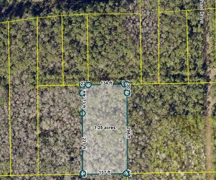 No Street, Deland, FL 32724 - #1