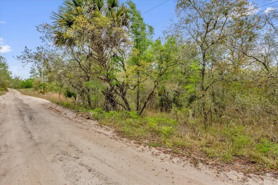 Chestnut Avenue, Orange City, FL 32763 - #3