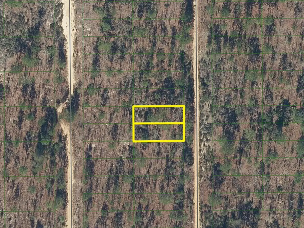 423 Dothan Street, Interlachen, FL 32148 - #1