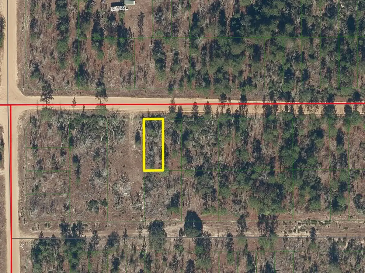 1133 Twin Lakes Boulevard, Interlachen, FL 32148 - #1