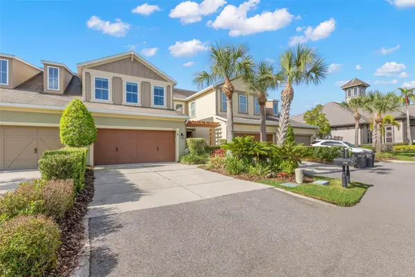 11732 Casa Lago Lane, TAMPA, FL 33626