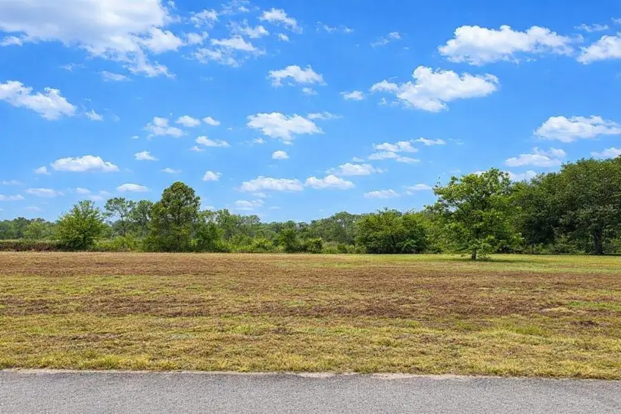 Lot 5 Canoe Crossing Court, Clermont, FL 34715 - #2