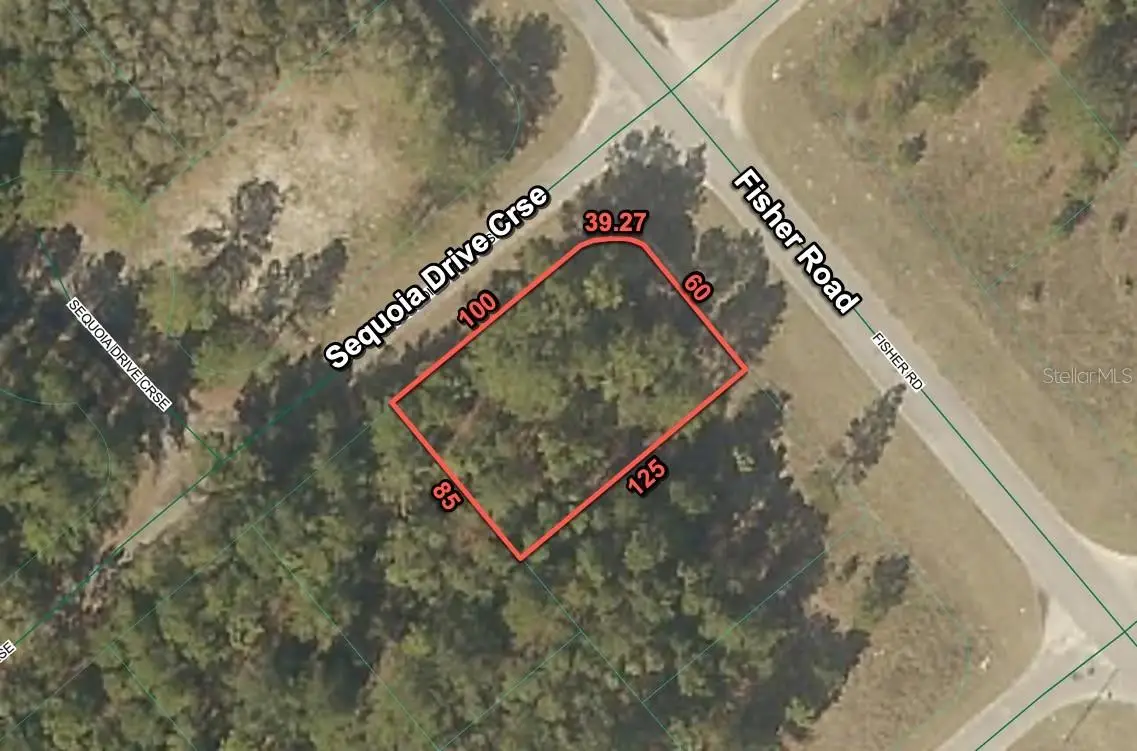 200 Fisher Road, Ocklawaha, FL 32179 - #1