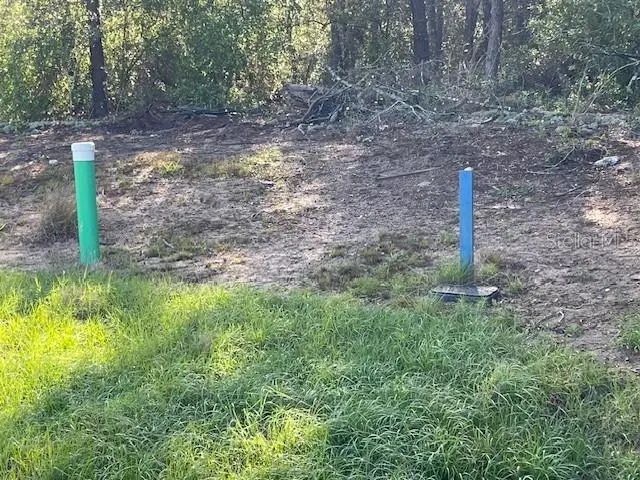 1318 Homosassa Drive, Poinciana, FL 34759 - #1