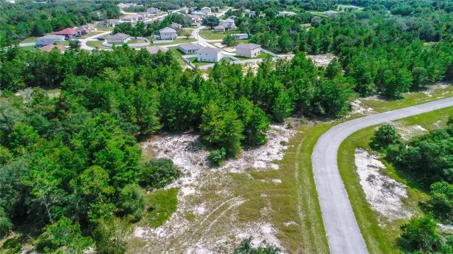 1318 Homosassa Drive, Poinciana, FL 34759 - #3