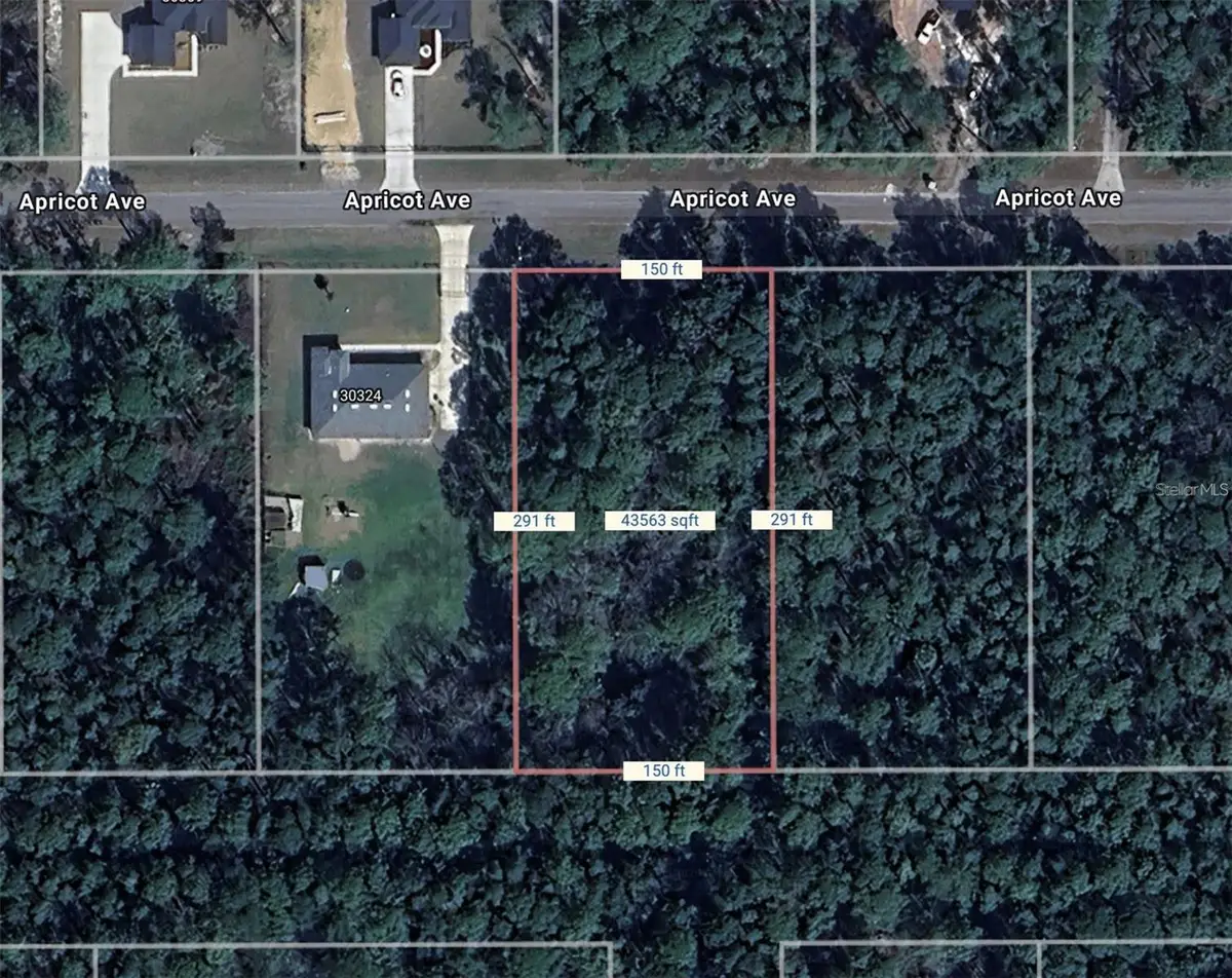 Apricot Avenue, Eustis, FL 32736 - #1